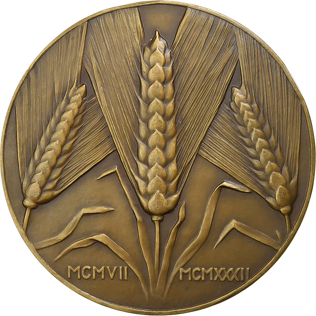 Francia, medaglia, Agriculture, Comptoir Français de l'Azote, 1932, Bronzo
