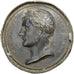 France, Médaille, Napoléon Ier, Empereur, Tin-Zinc, TB+, Andrieu, Cliché