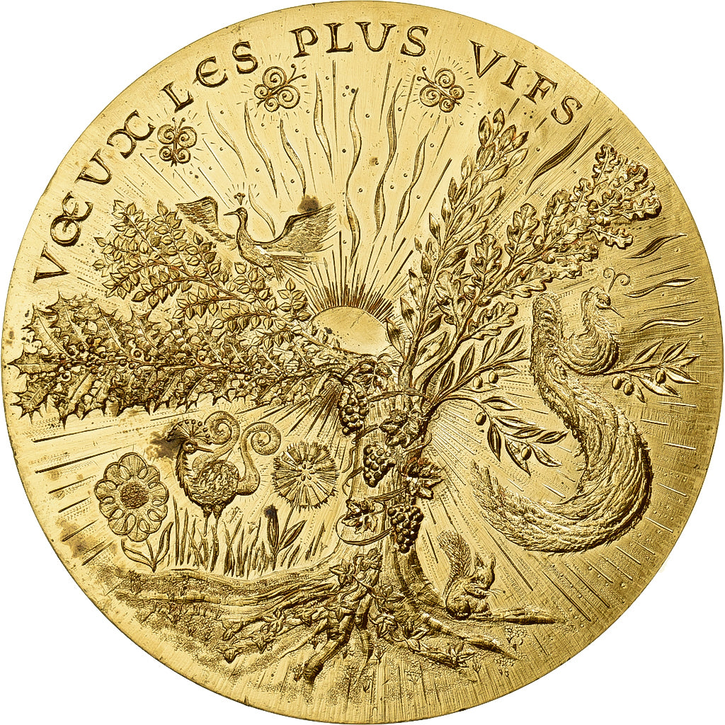 Francja, medal, Voeux, Nature respectée, 1978, Bronze Florentin, AU(55-58)