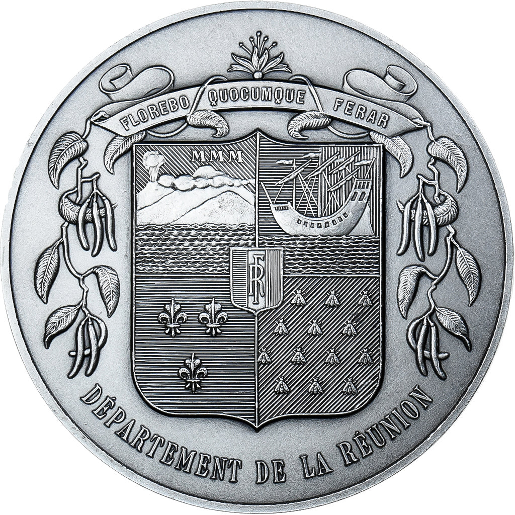 Francja, medal, Département de la Réunion, Brąz posrebrzany, AU(55-58)