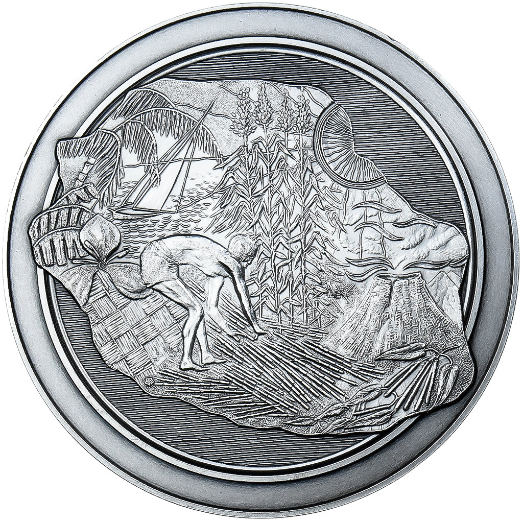 Francja, medal, Département de la Réunion, Brąz posrebrzany, AU(55-58)