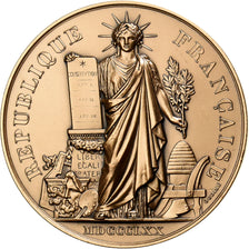 Francia, medaglia, La Constitution, Bronzo, Dubois.H, SPL-