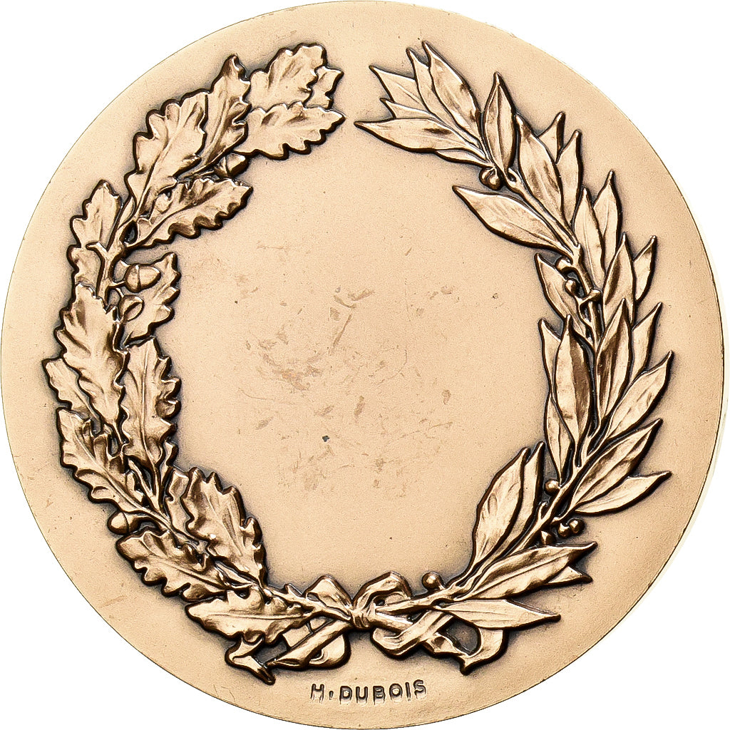 Francia, medaglia, La Constitution, Bronzo, Dubois.H, SPL-
