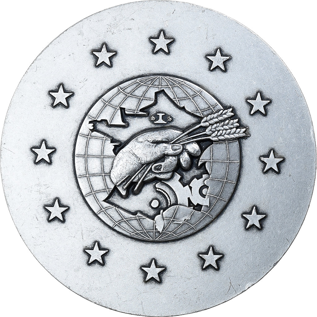 Frankreich, Medaille, Institut Social de France, 25 Ans, 2001, Silvered bronze