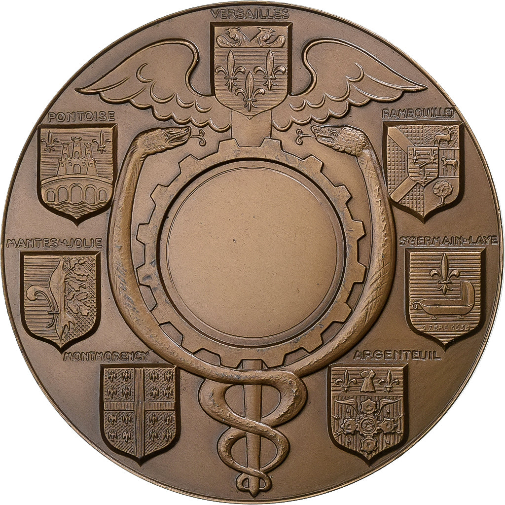 Francia, medaglia, Chambre de Commerce du Val d'Oise, 1969, Bronzo, Simon, SPL