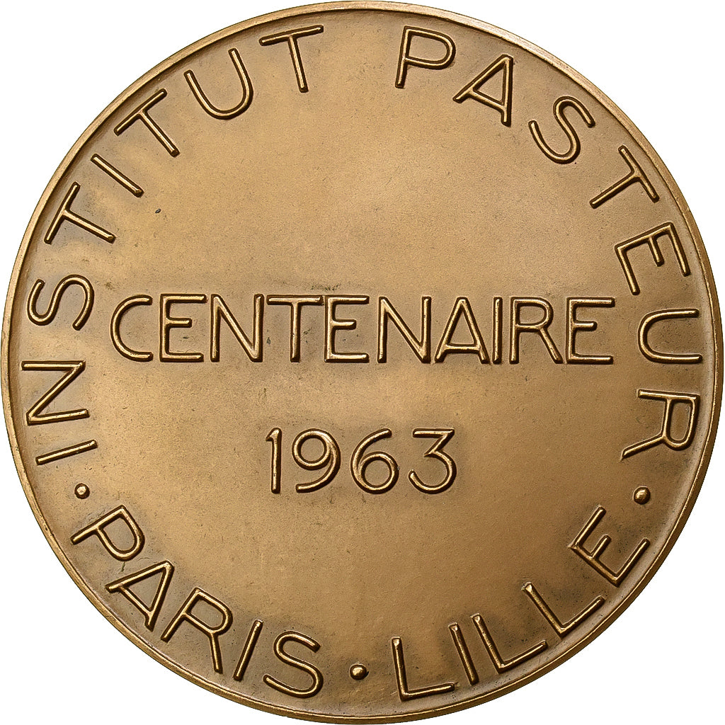Francia, medaglia, Albert Calmette , Institut Pasteur, 1963, Bronzo, Turin, SPL