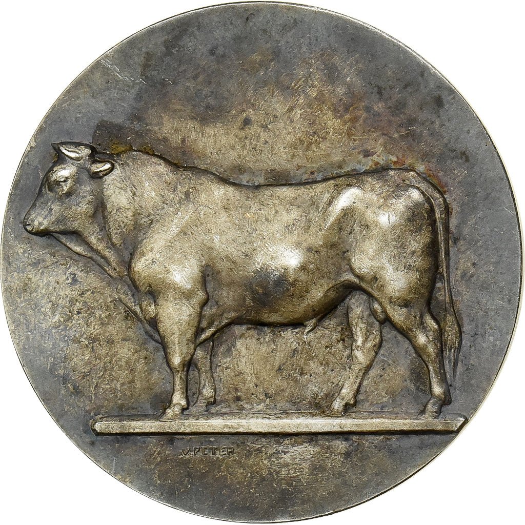 France, Medal, Vache, Offert par Mr Binet, Agriculture, 1924, Silvered bronze