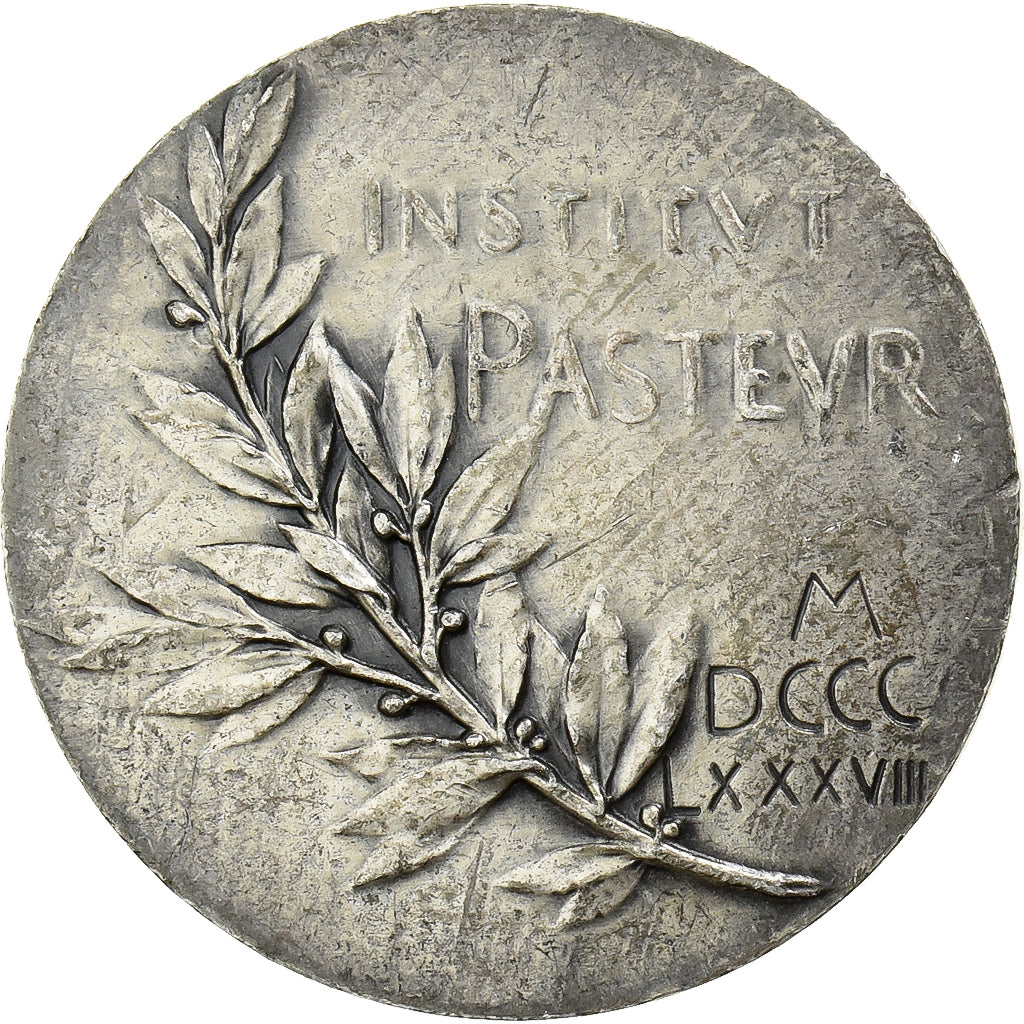 France, Medal, Institut Pasteur, 1888, Silver, Roty, AU(55-58)