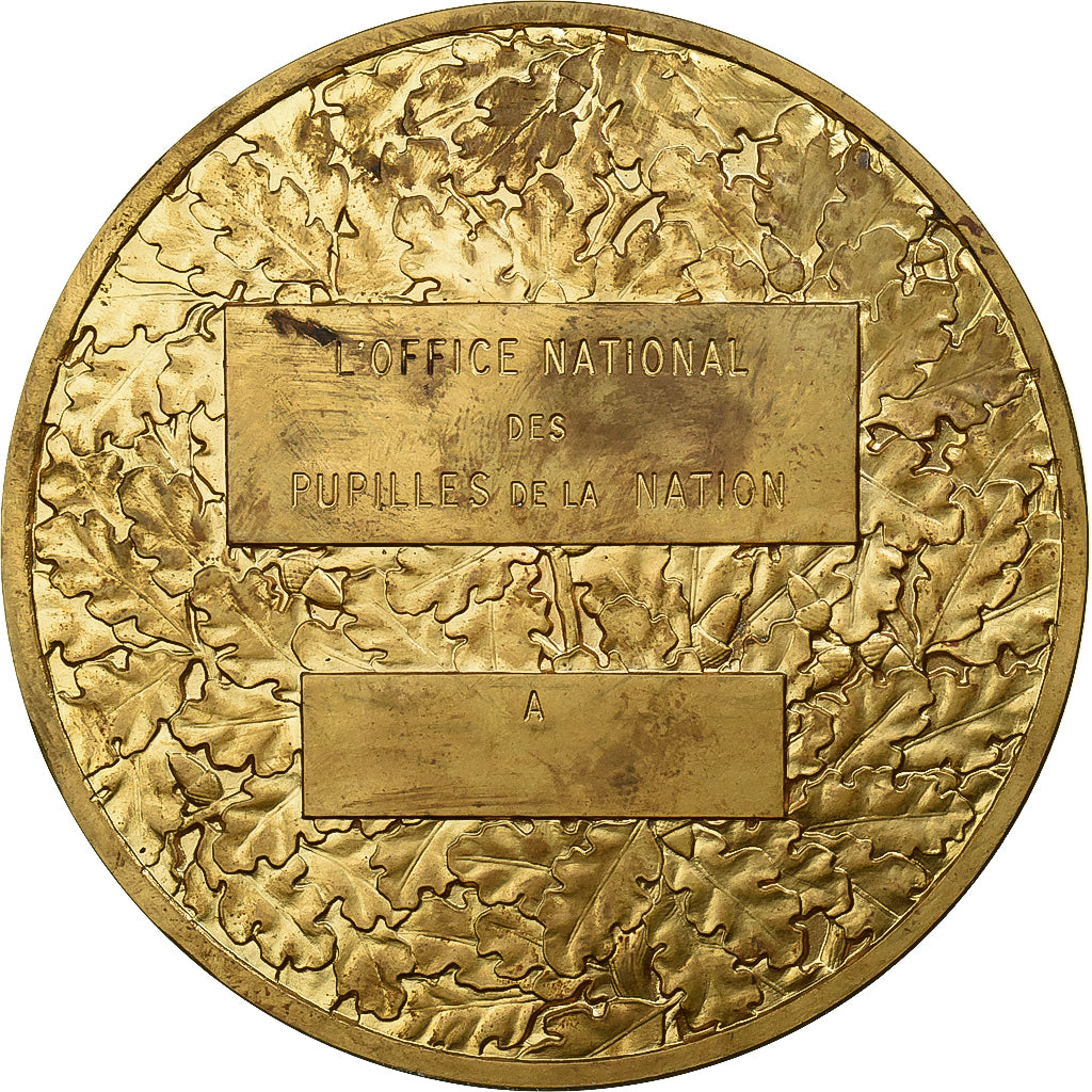 Francia, medaglia, Office Nationale des Pupilles de la Nation, Bronzo, Dupuis.D