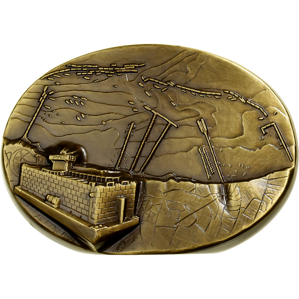 Francia, medaglia, Comité du Débarquement D-DAY, Arromanches, Bronzo, SPL