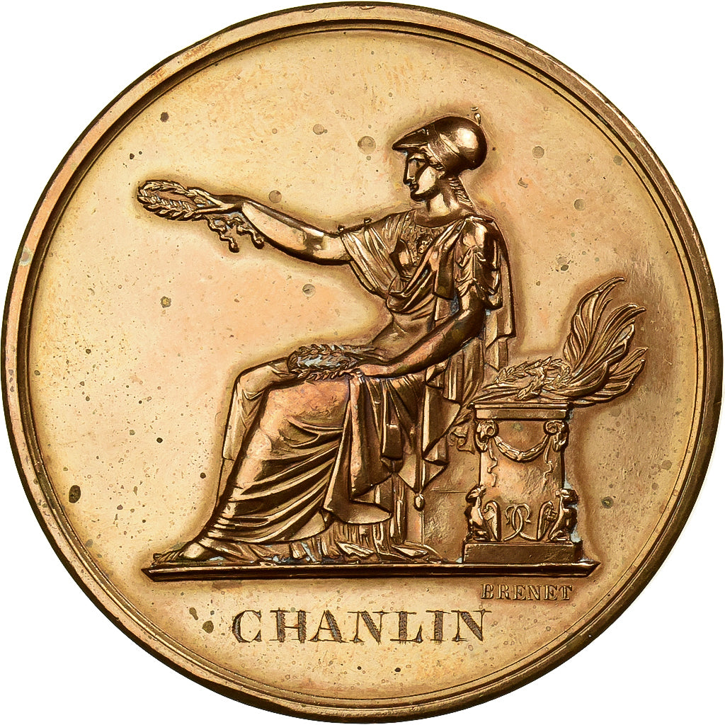 Francia, medaglia, Instruction Public, Cours d'Adulte, 1865, Bronzo, Brenet, BB+