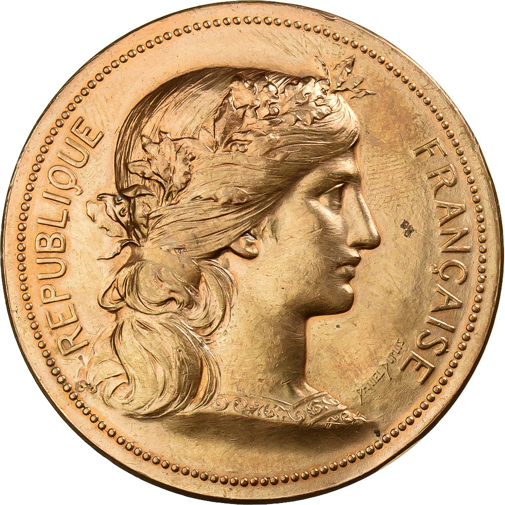 Francia, medaglia, Instruction Public, Cours d'Adulte, 1875, Bronzo, Dubois.H