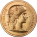 Francia, medaglia, Instruction Public, Cours d'Adulte, 1875, Bronzo, Dubois.H