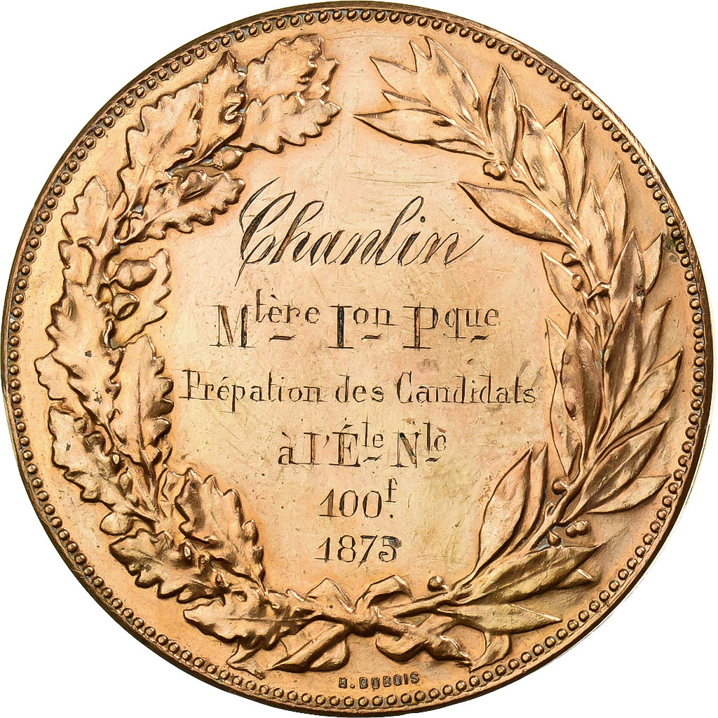 Francia, medaglia, Instruction Public, Cours d'Adulte, 1875, Bronzo, Dubois.H