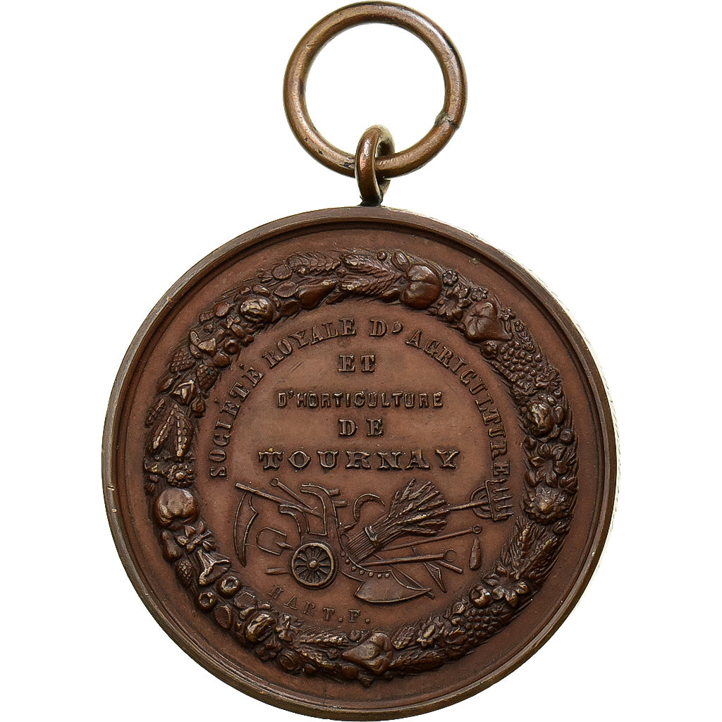 Belgia, medal, Leopold II, Société Royale d'Agriculture de Tournai, Brązowy
