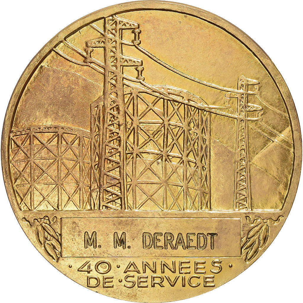 Francia, medalla, Électricité de France et gaz de France, Bronce dorado