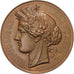 France, Medal, Exposition Universelle Internationale, Champs de Mars, Paris