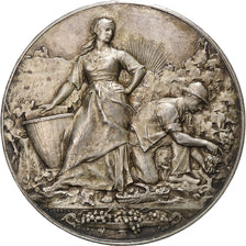 France, Medal, Comice Agricole de Tours, Silver, Vernon, AU(50-53)