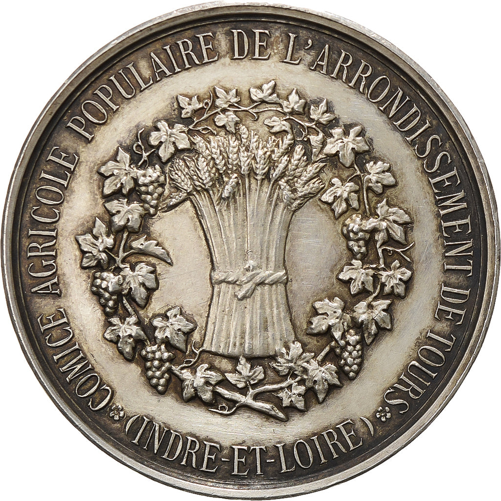 France, Medal, Comice Agricole de Tours, Silver, Vernon, AU(50-53)