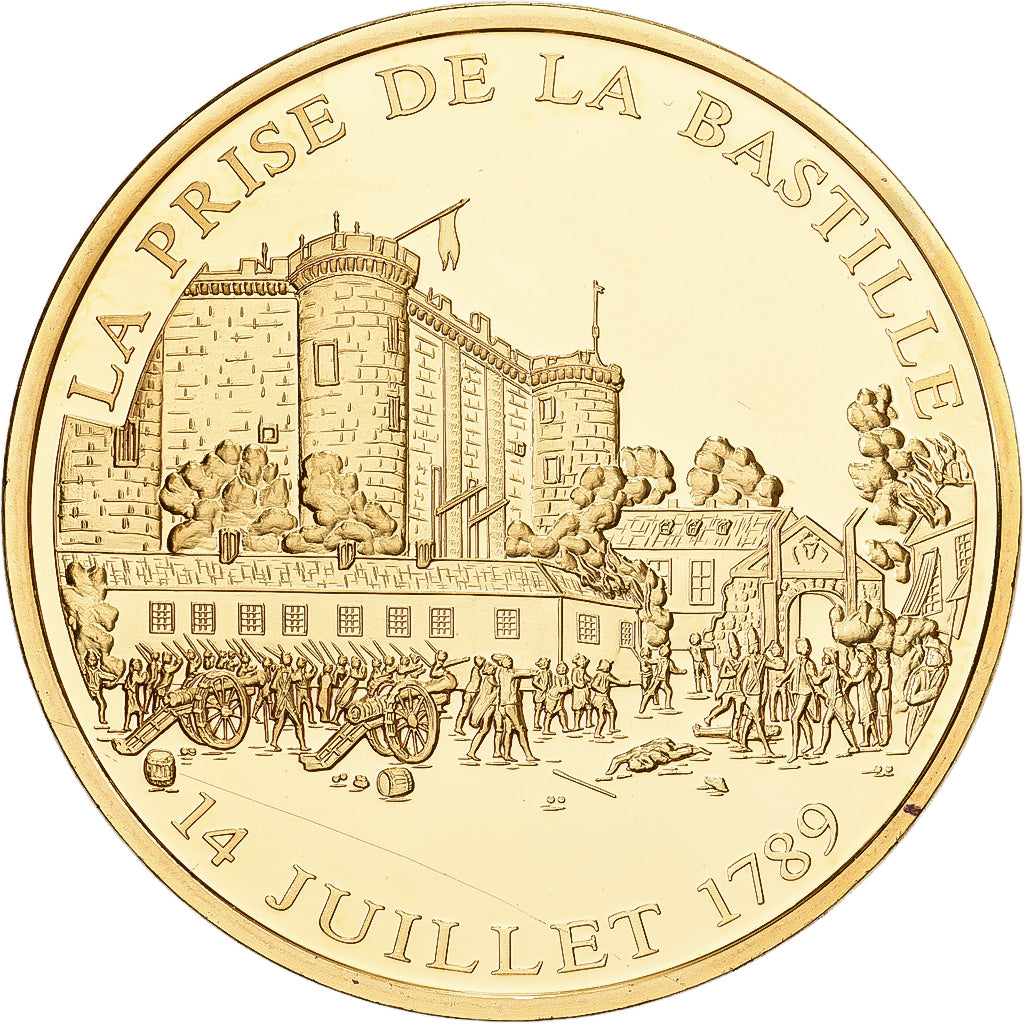 Francia, medaglia, Histoire de France, Prise de la Bastille, Rame dorato, SPL