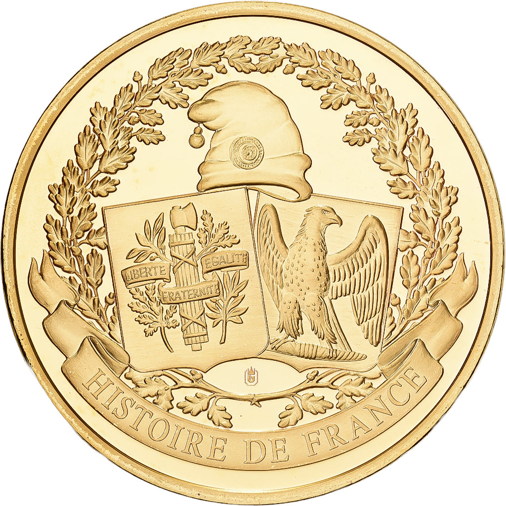 Francia, medaglia, Histoire de France, Prise de la Bastille, Rame dorato, SPL