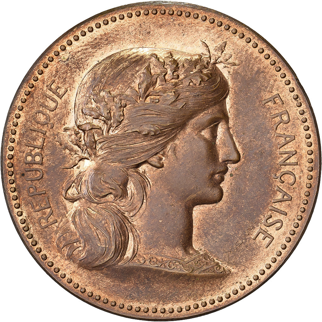 Francia, medaglia, Société d'Enseignement par la Sténographie, Bronzo