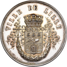 France, Medal, Administration des Hospices, Prix d'Internat, 1878, Silver