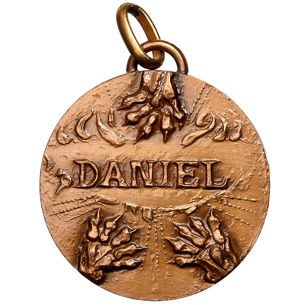 Francia, medaglia, Daniel, Lions, Bronzo, Despierre, SPL