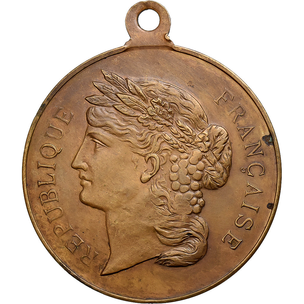 France, Médaille, Troisième République, Souvenir du Tirage au Sort, Classe