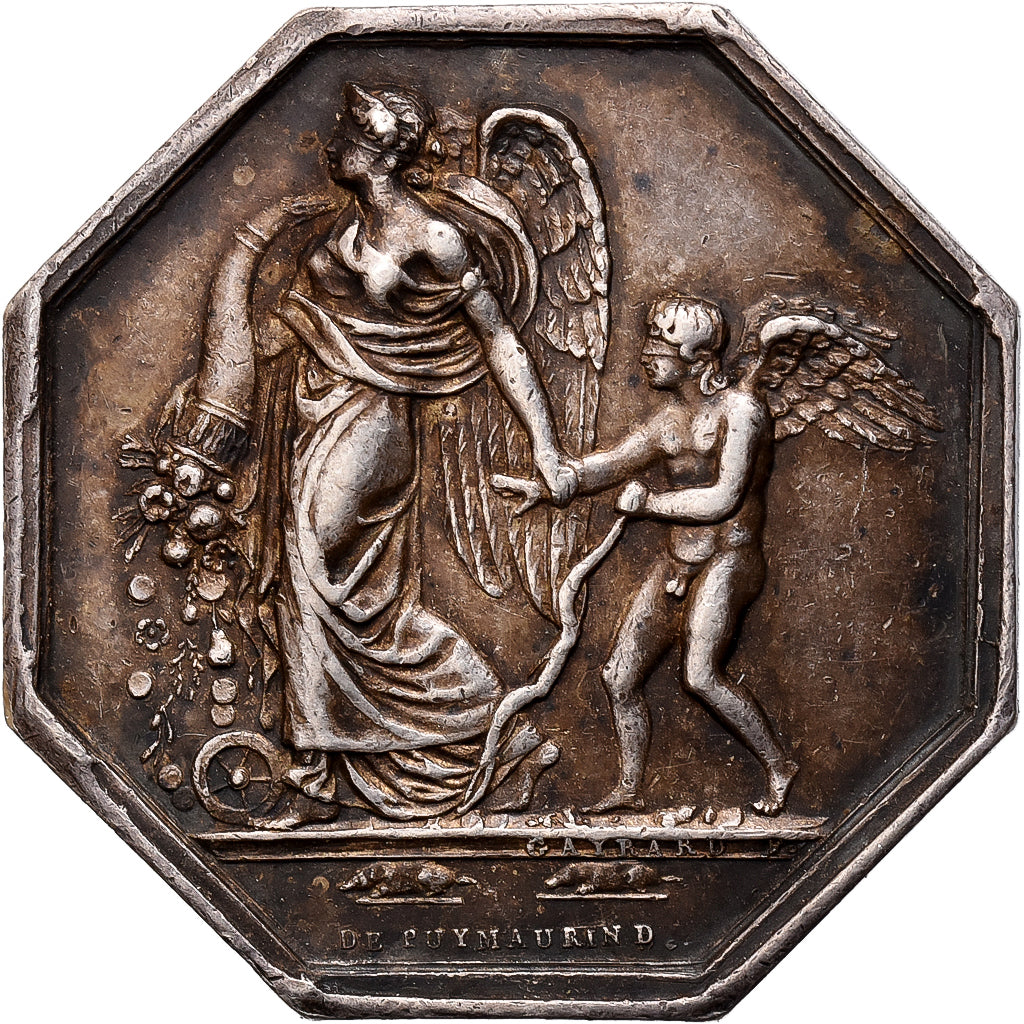France, Medal, Napoléon Ier, Heur et Malheur, Silver, De Puymaurin, EF(40-45)