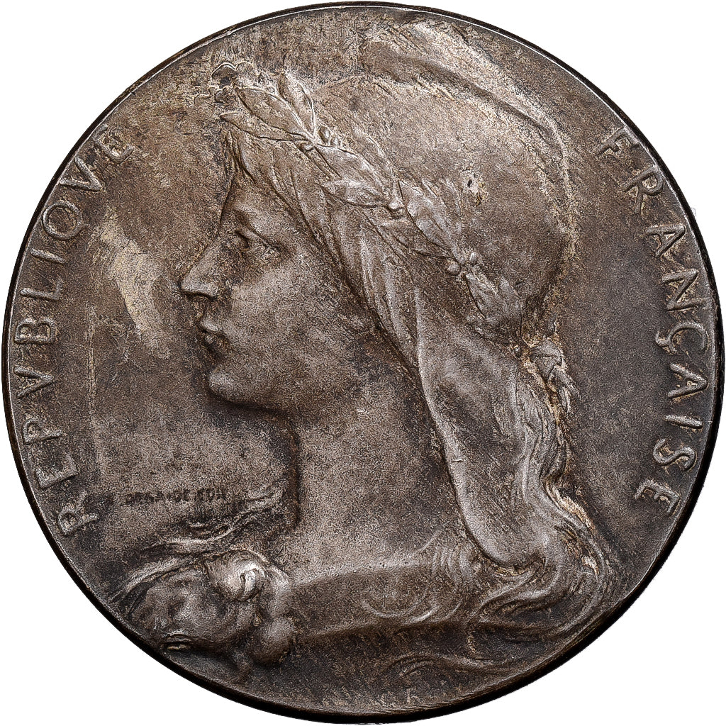 France, Medal, Caisse d'Epargne de Roanne, Silver, Desaide, AU(55-58)