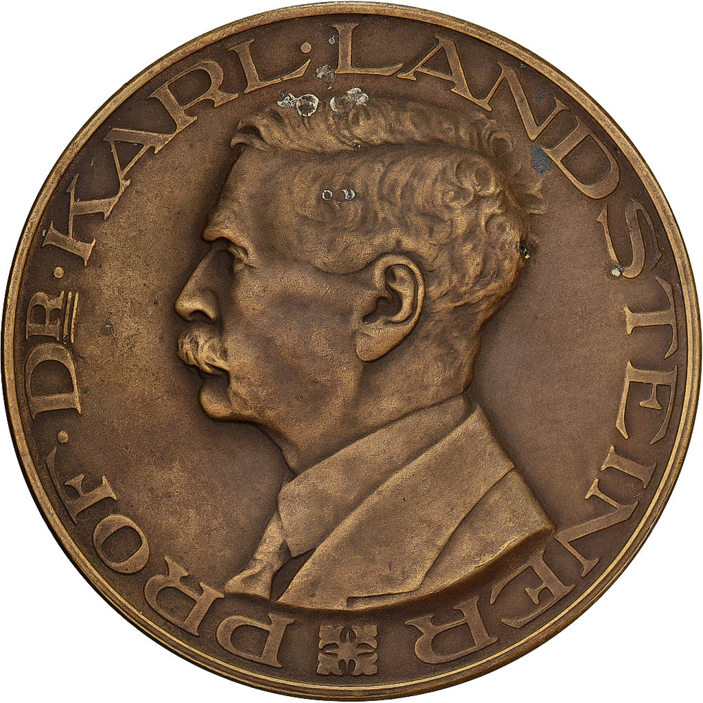 Países Baixos, medalha, Croix Rouge, Docteur Karl Landsteiner, Bronze