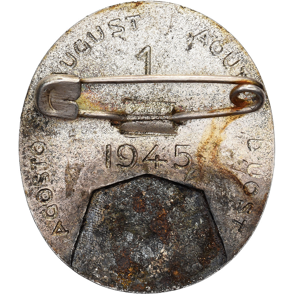 Frankreich, Broche, Croix Rouge, 1945, Silvered bronze, Guerchet, SS