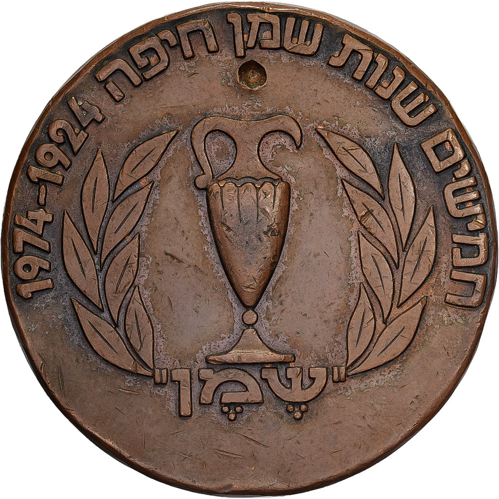Israel, Medal, Jubilé, 1974, Bronze, EF(40-45)