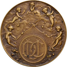 France, Medal, Célébration de Mariage, Union des Coopérateurs, Bronze