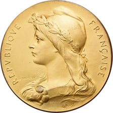 Francja, medal, Préfet de la Seine-Inférieure, Vermeil, O.Roty, AU(50-53)