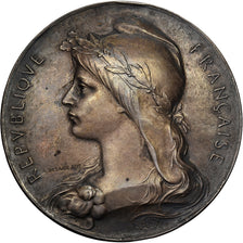 Francja, medal, Ecole des Beaux-Arts, Ville de Nîmes, Srebro, O.Roty, AU(55-58)