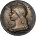 Francja, medal, Ecole des Beaux-Arts, Ville de Nîmes, Srebro, O.Roty, AU(55-58)