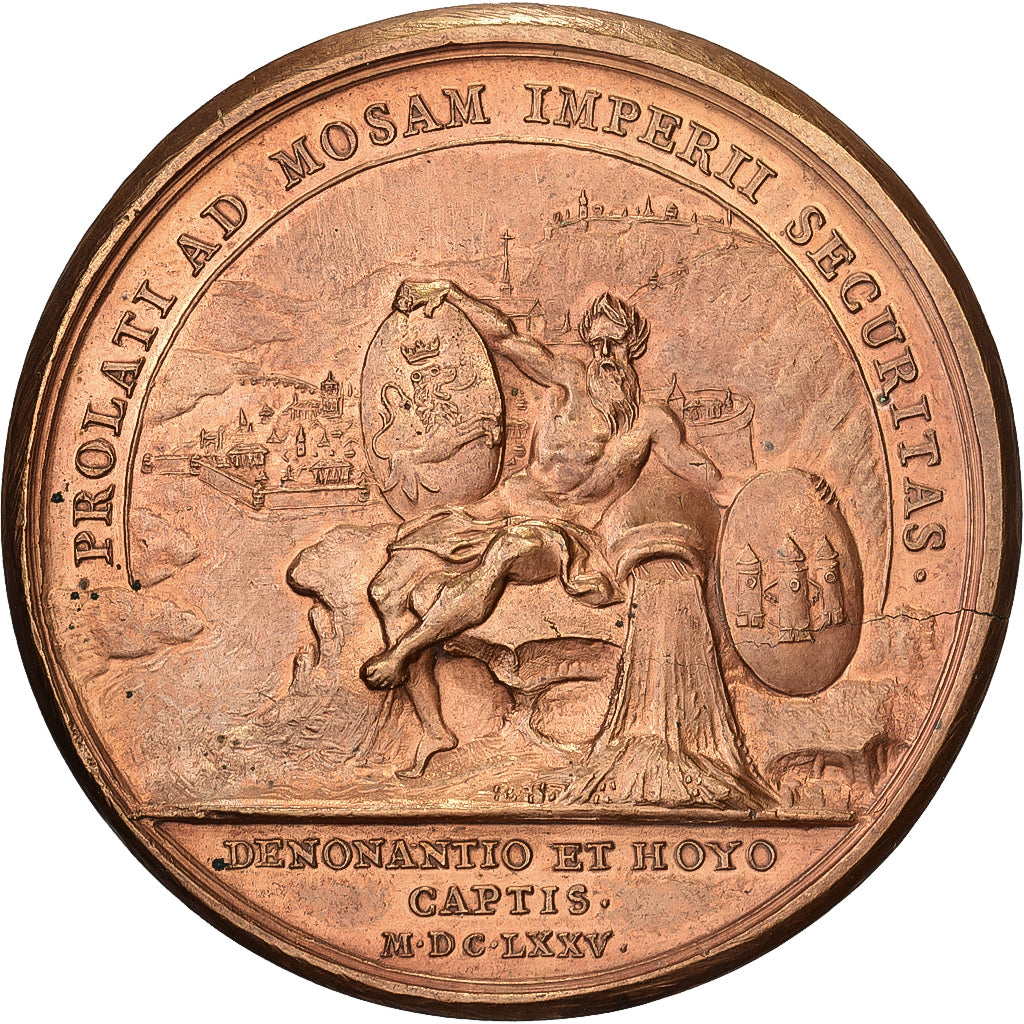 Francia, medaglia, Louis XIV, Prise de Huy et Dinant, 1675, Bronzo, Mauger