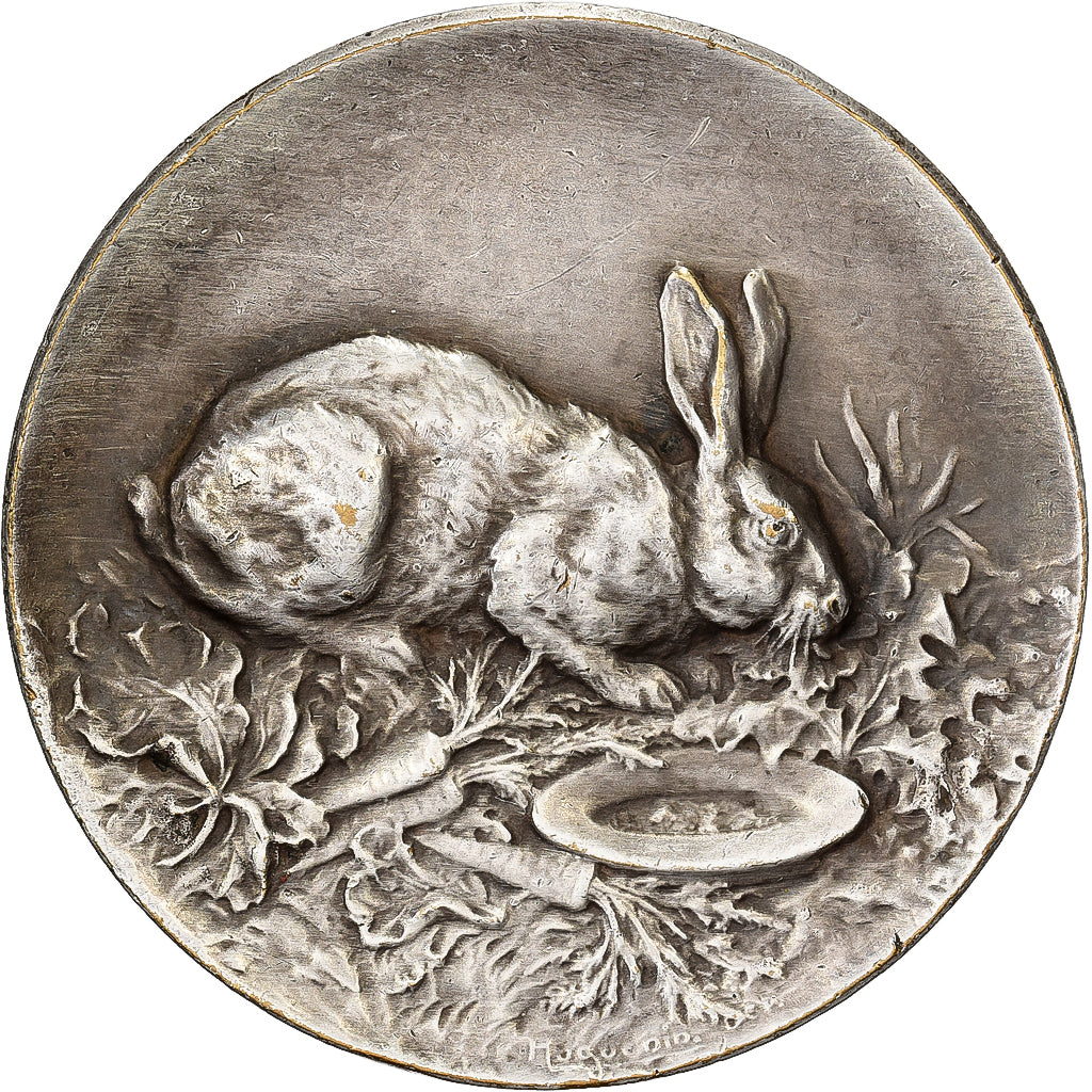 Frankreich, Medaille, Aviculture du Haut-Rhin, Altkirch, 1922, Silvered bronze