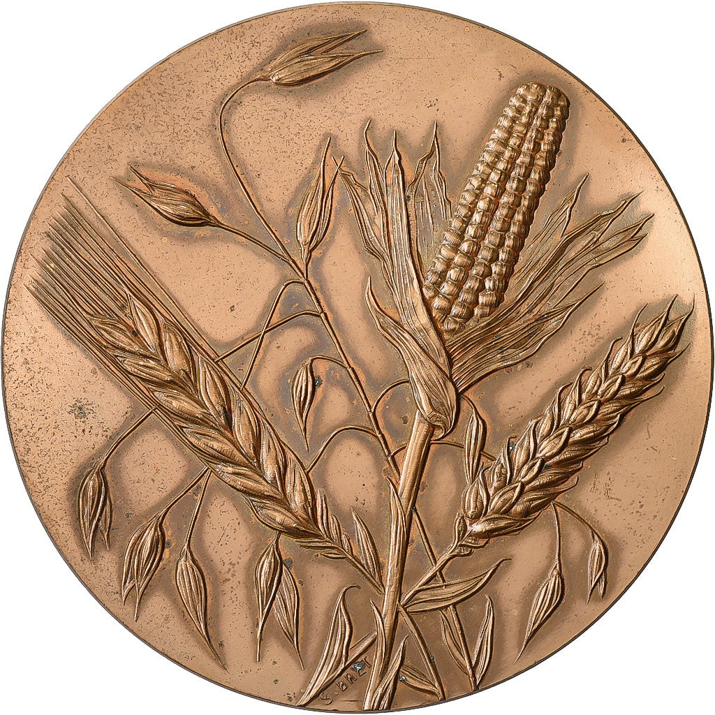 Francia, medaglia, Les Céréales, 1969, Bronzo, Bret, SPL
