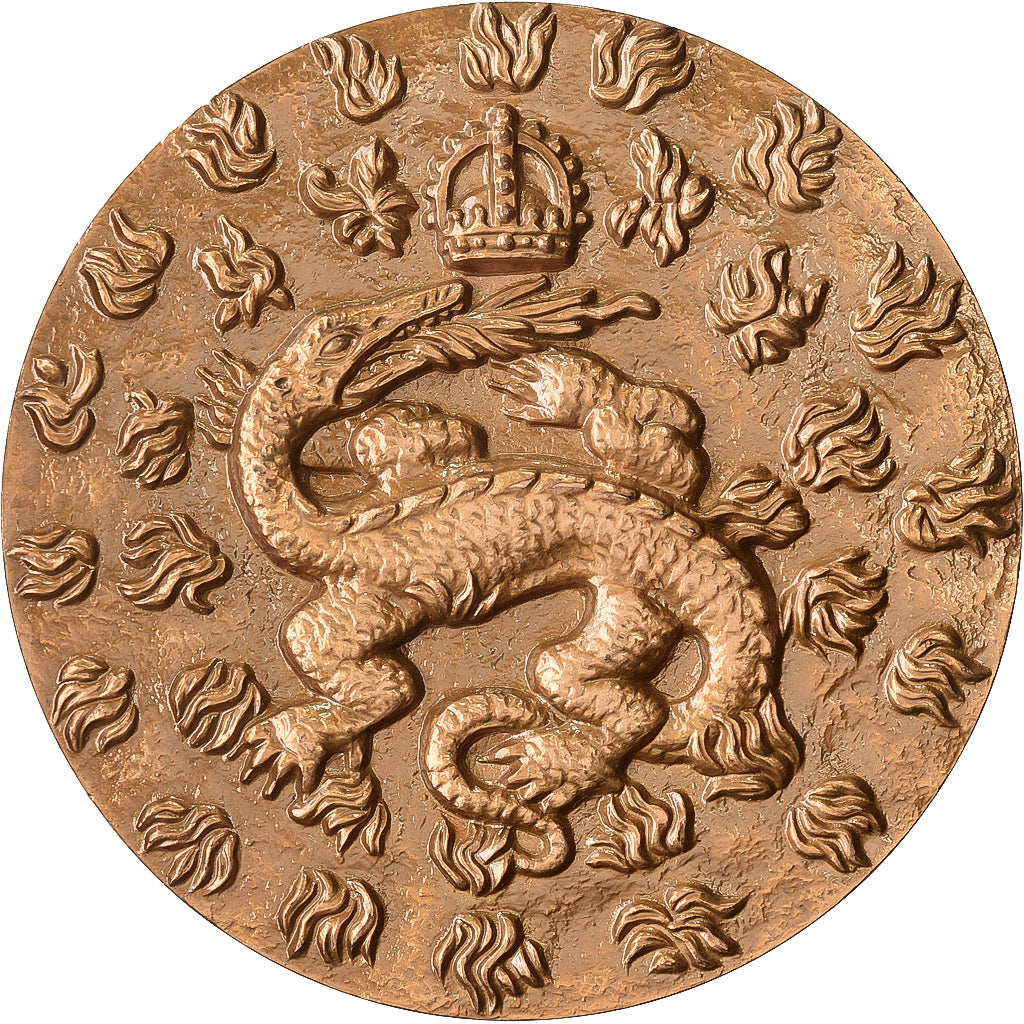 Francia, medaglia, Le Château de Chambord, François Ier, Salamandre, Bronzo