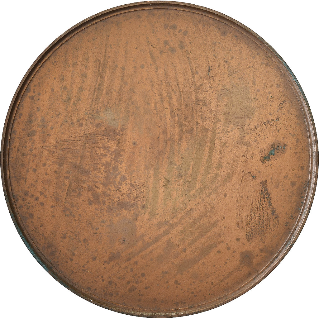 Francia, medaglia, Contes et Fables, Le Loup et l'Agneau, MDP, Bronzo, Vernon