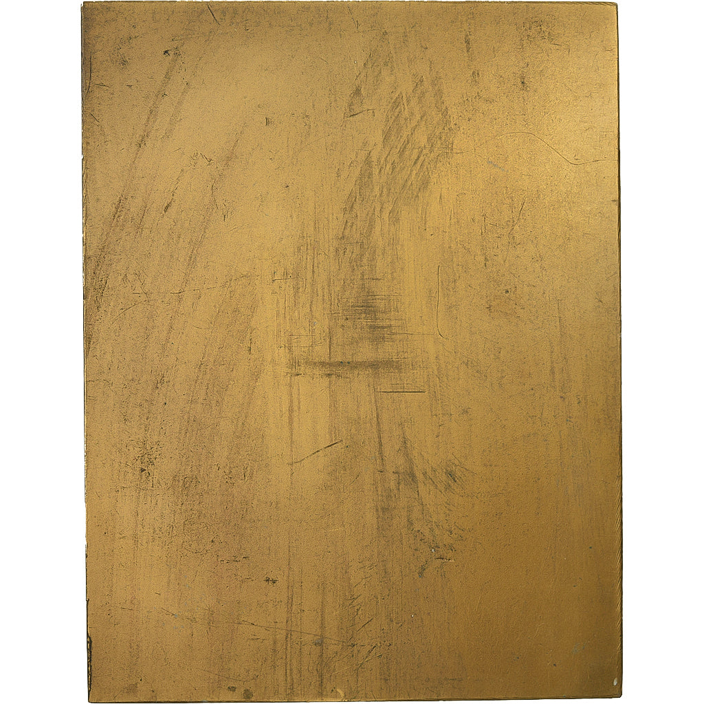 Francia, medaglia, Gustave Le Bon, MDP, Bronzo, Vernon, SPL