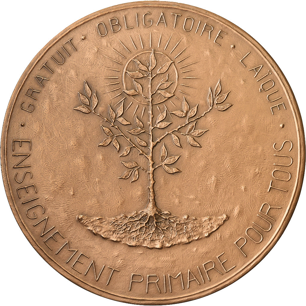 Francia, medaglia, Jules Ferry, Enseignement Primaire pour Tous, 1982, Bronzo