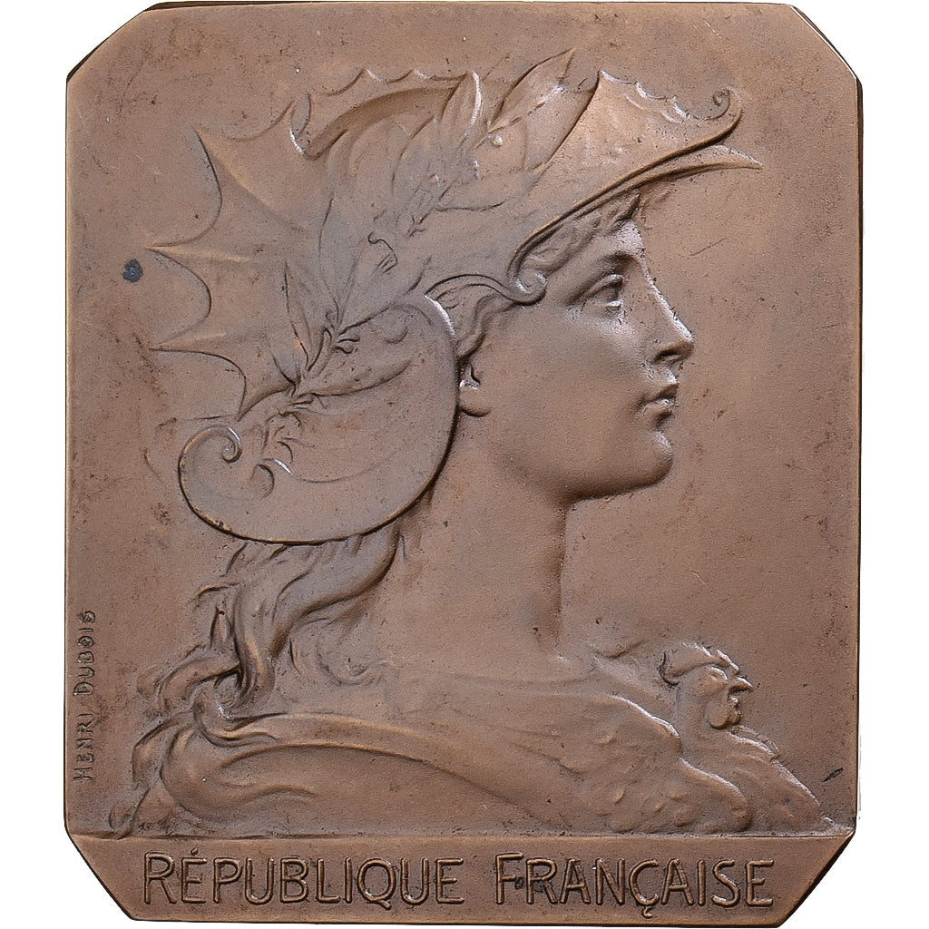 Francia, medaglia, Croix Rouge, 1930, Bronzo, Henri Dubois, Reconnaissance, SPL-