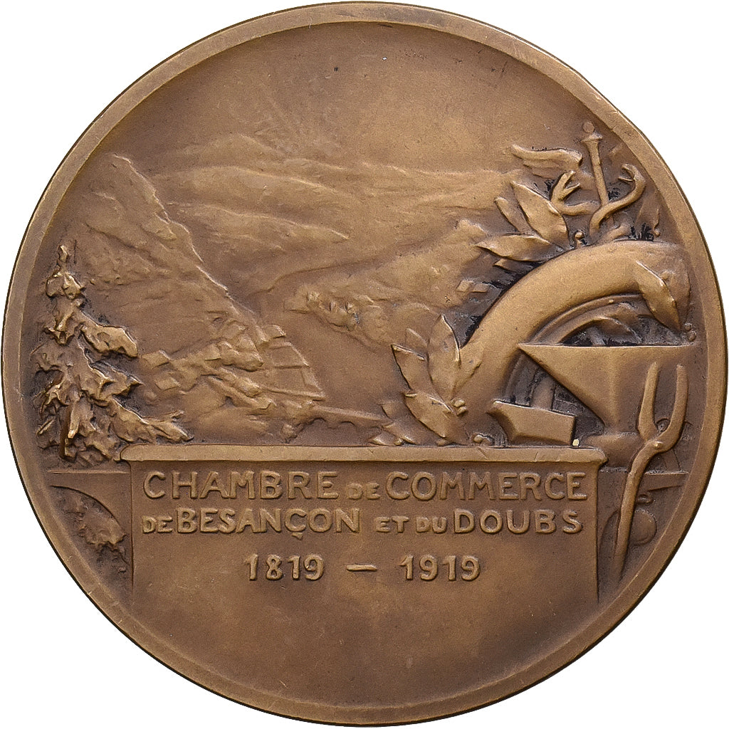 Francia, medaglia, Chambre de Commerce de Besançon et du Doubs, 1919, Bronzo