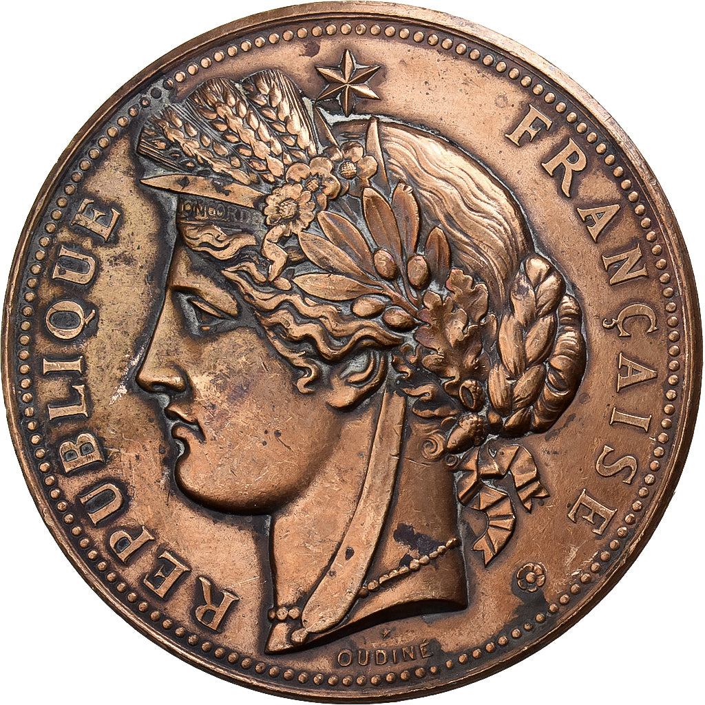 Francia, medaglia, Exposition Universelle PARIS, 1878, Bronzo, Oudiné, BB