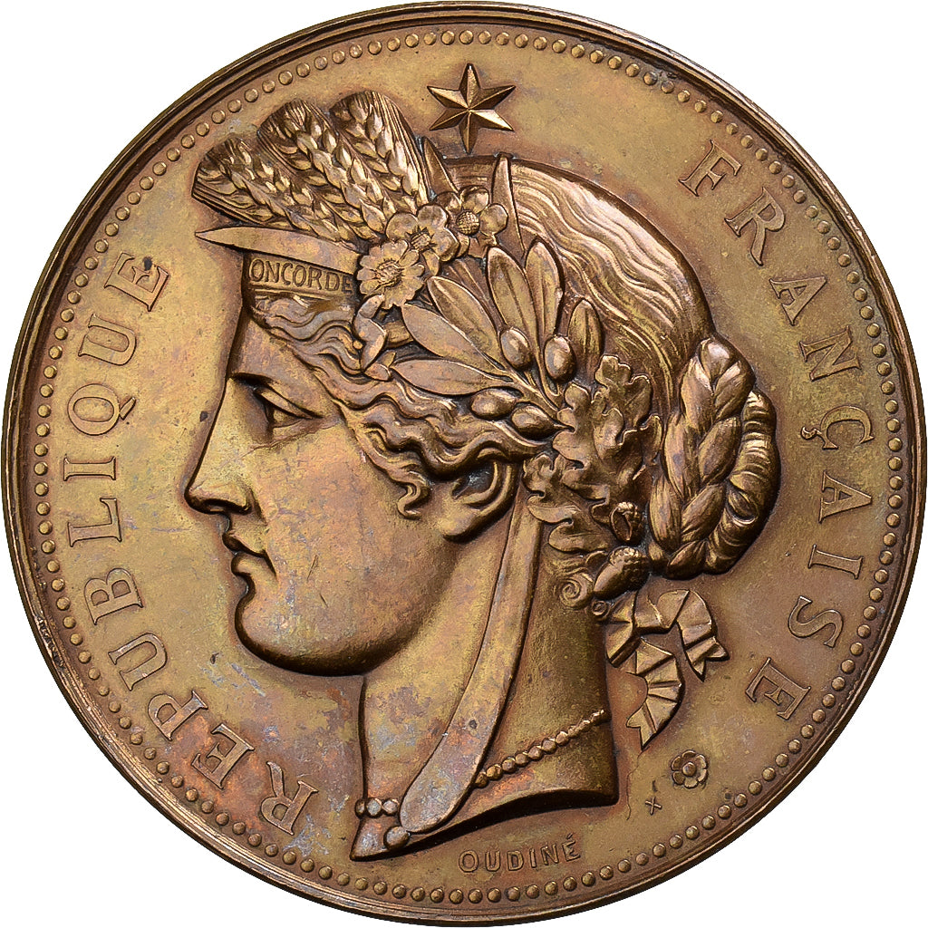 Frankreich, Medaille, Exposition Universelle PARIS, 1878, Bronze, Oudiné, VZ