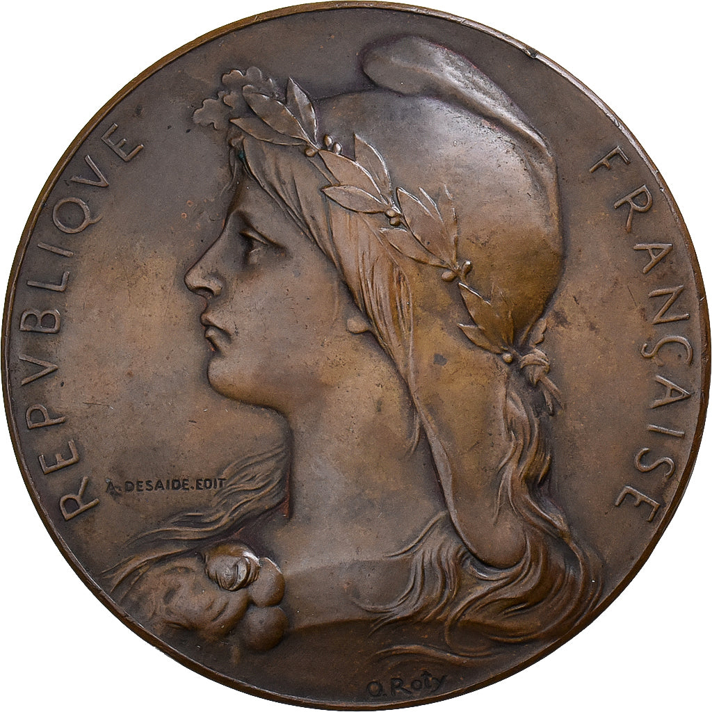 Francia, medaglia, Ecole des Beaux-Arts, Ville de Nîmes, Bronzo, O.Roty, BB